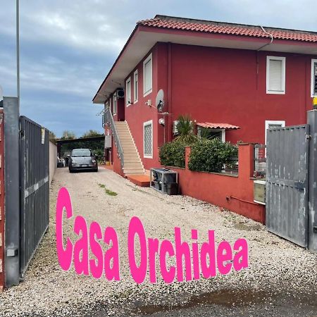 Apartamento Casa Orchidea Fiumicino Exterior foto