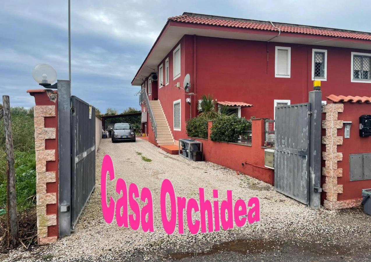 Apartamento Casa Orchidea Fiumicino Exterior foto